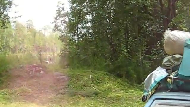 10 дней в карельском лесу. Часть 2. смотреть онлайн