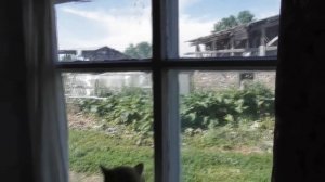 Почему Нестор не ел рыбу.  Почти везде важно слово "надо".  24. 06. 2018