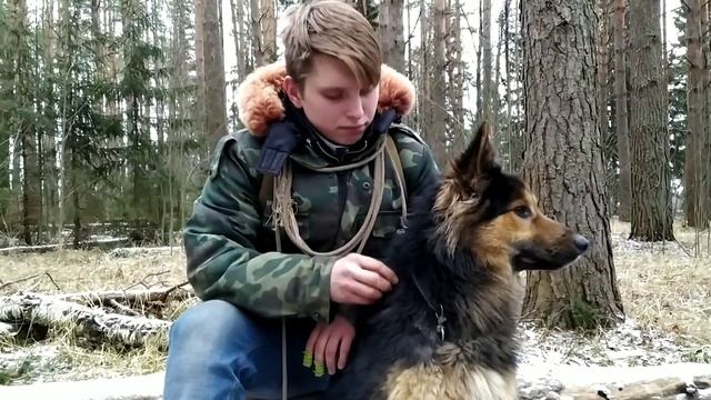 Поход в лес на разведку места под шалаш смотреть онлайн