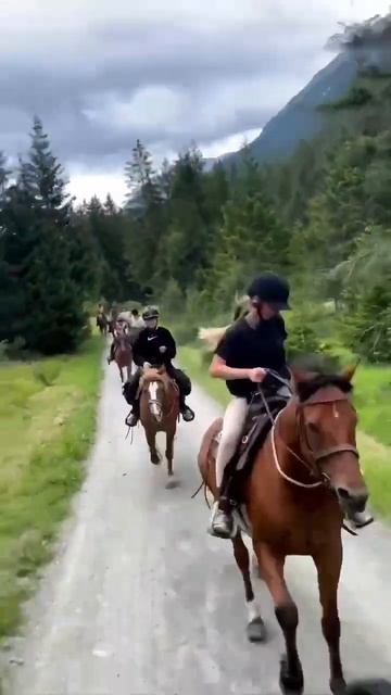 Конный поход смотреть онлайн