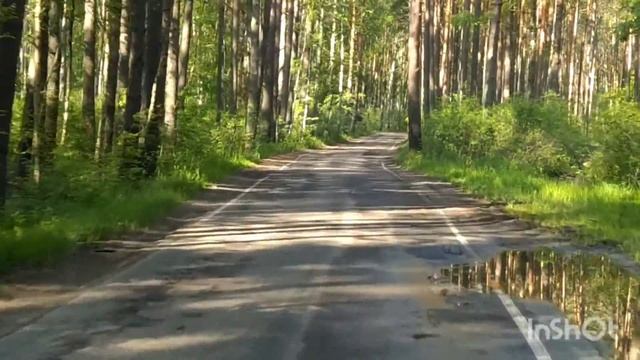 А у вас так же красиво? Орловское полесье смотреть онлайн
