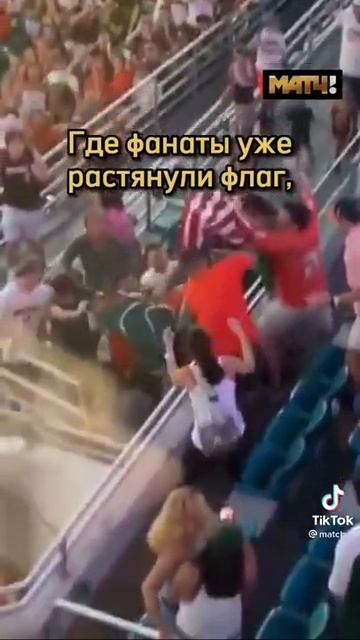 Котик упал с крыше стадиона в США! #shorts #fyp