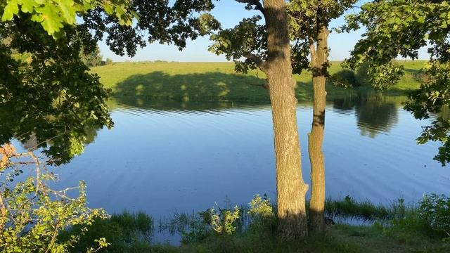 Одиночный велопоход с ночевкой | Первый раз один с палаткой | Вот почему стоит это попробовать!!! смотреть онлайн