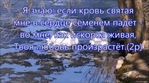 Позволь мне головой склонённой. Христианское караоке 🎤