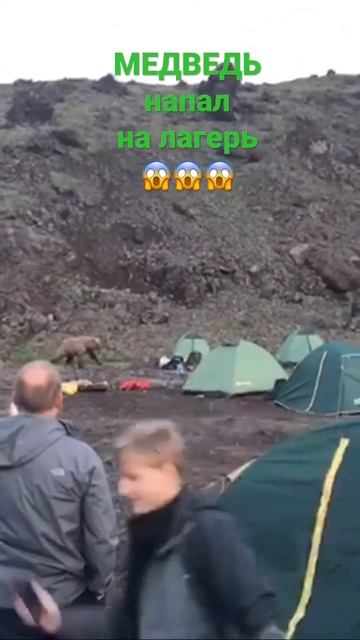 Путешествие по Камчатке. Медведь напал на лагерь туристов. смотреть онлайн