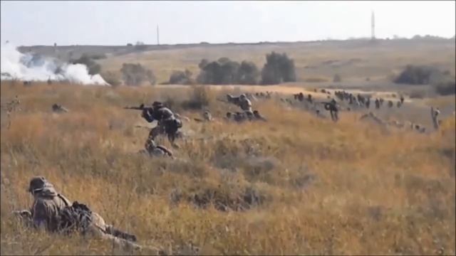 СК "Friesland" смотреть онлайн