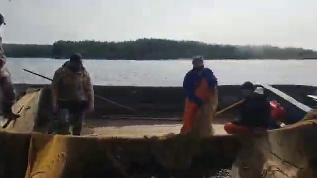 Рыбоптторг.рф - оптовая и розничная продажа рыбы и морепродуктов. смотреть онлайн