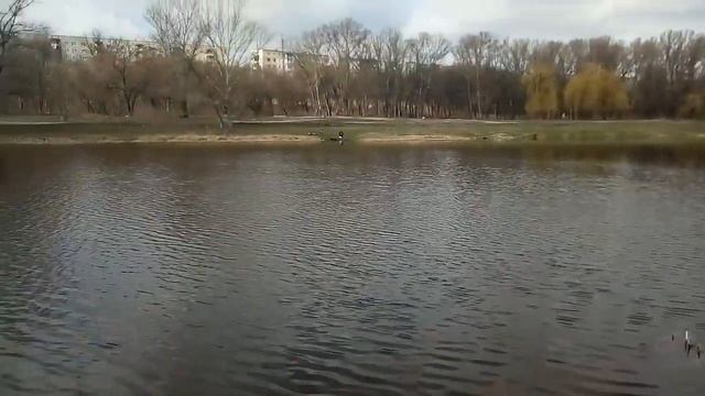 #верхоплавка#поплопопер# Верхоплавка на попло-попер. смотреть онлайн