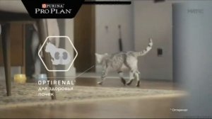 Анонсы и реклама (Матч ТВ, 01.11.2019) (5)