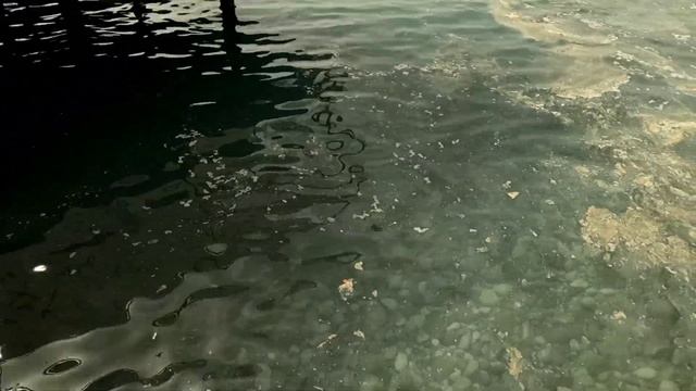 Турция 2024 🔥Кемер.Бельдиби. Grand Ring . Грязное море, купаться невозможно. смотреть онлайн