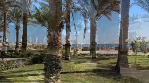 ОБЗОР🌵 отеля MENAVILLE 4* 🌴г. САФАГА 🇪🇬 Египет. Отель Менавиль Сафага Хургада.