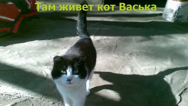Вылазка на природу смотреть онлайн