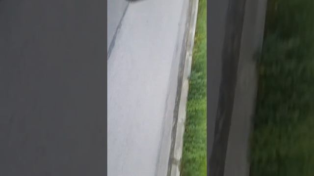 Кормлю зверя в нейтралке мапп торфяновка. смотреть онлайн