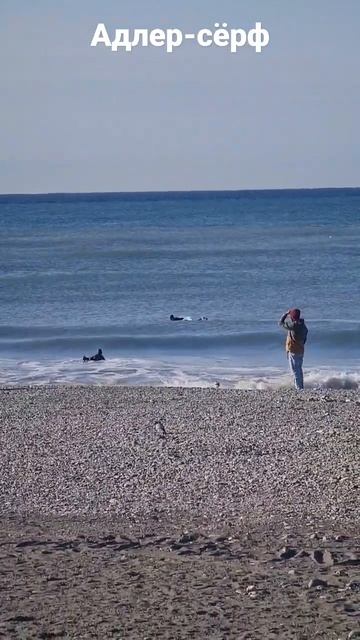 На доске в Адлере в ноябре сёрфинг! Surfing on a board in Adler in November! смотреть онлайн