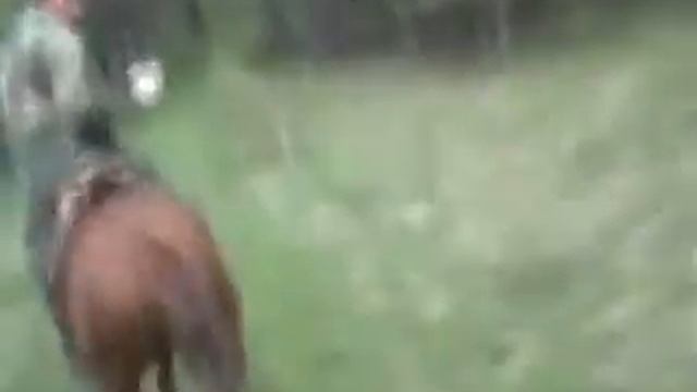 Галопом с Димой 2008 смотреть онлайн