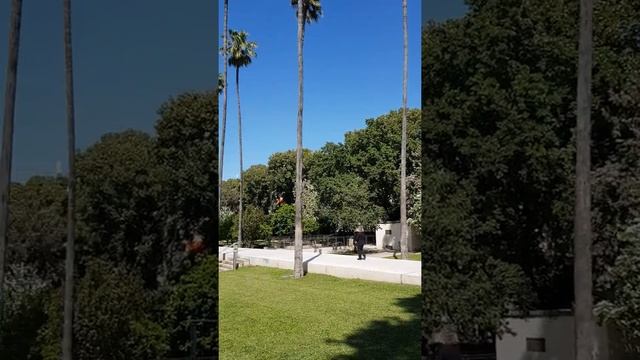 Хадера 2часть.Эвкалиптовый путь.Исторические места.Парк основателей. смотреть онлайн