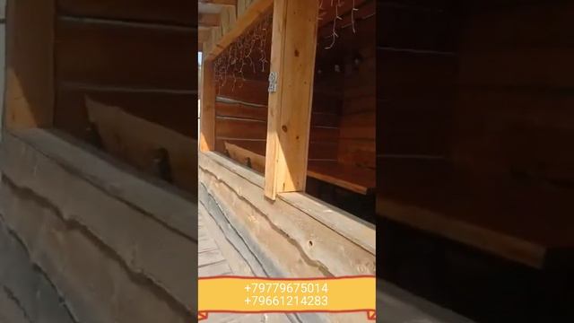 БУХОРОЛИК ЕШ ЭР ХОТИНЛАРИМИЗ КАНДАЙ ШАРОИТДА ИШЛАШЯПТИ. смотреть онлайн