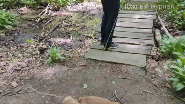 Стрижамент, Ставрополь, прогулка семьёй смотреть онлайн