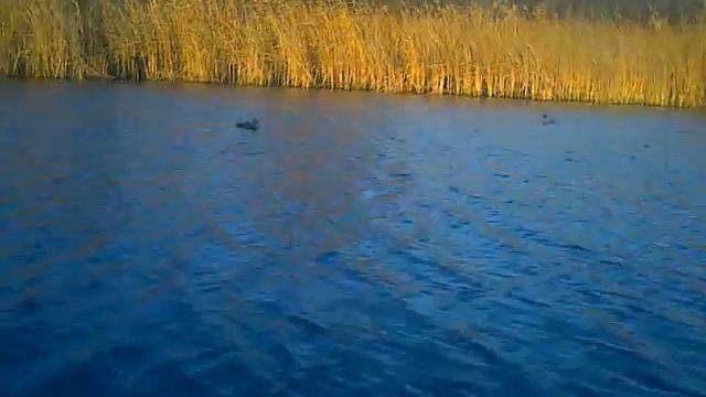 в засидке смотреть онлайн