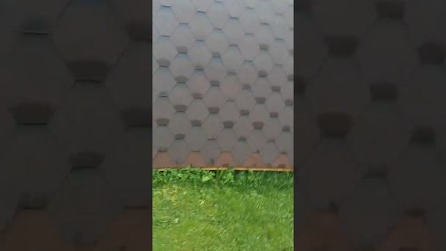 Кемпинг в Вильнюсе. смотреть онлайн