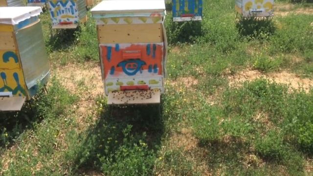 Защита ульев от жара солнца смотреть онлайн