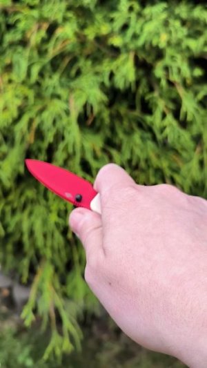 НОЖ, КОТОРЫЙ ЗАСТАВИТ ВАС ВЛЮБИТЬСЯ! Civivi "Baby Banter"