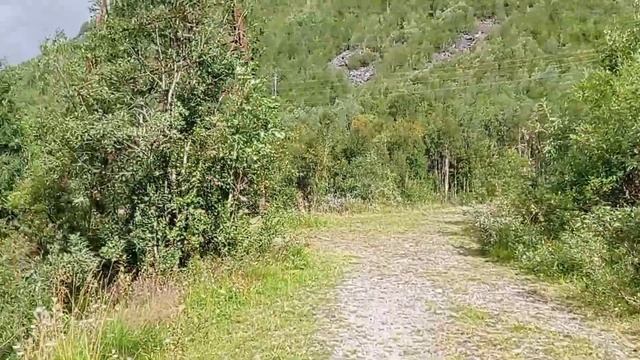Прогулка в лес. Дикие места😄🌲🌲🌲Хибины Заполярья. смотреть онлайн