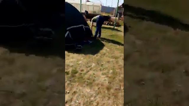 Палатка RockLand Pamir 4 смотреть онлайн