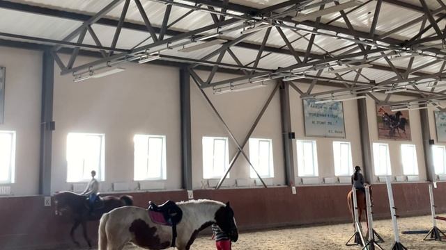 поменялись лошадьми. 2 дня из моей конной жизни смотреть онлайн