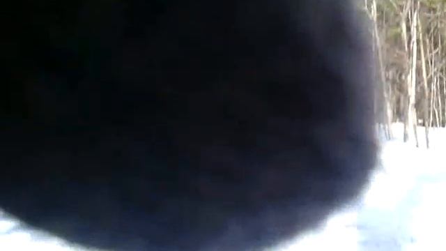 Стоянка вид снаружи палатки смотреть онлайн