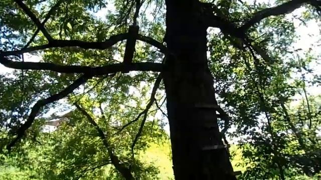 Река Высса в селе Воротынск смотреть онлайн