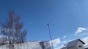 Питомник «Западный» голуби Лозоватского в России +7 (909) 667-53-00