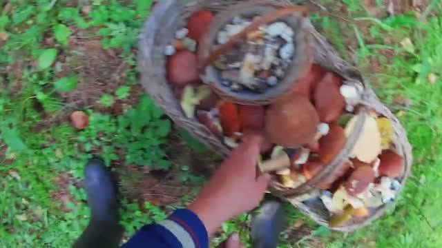 Селигер.А после меня-в лесу и  делать нечего.