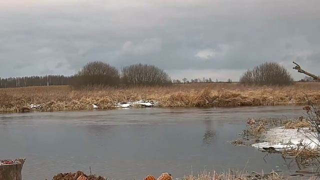 Канюк - 31 января 2022 смотреть онлайн