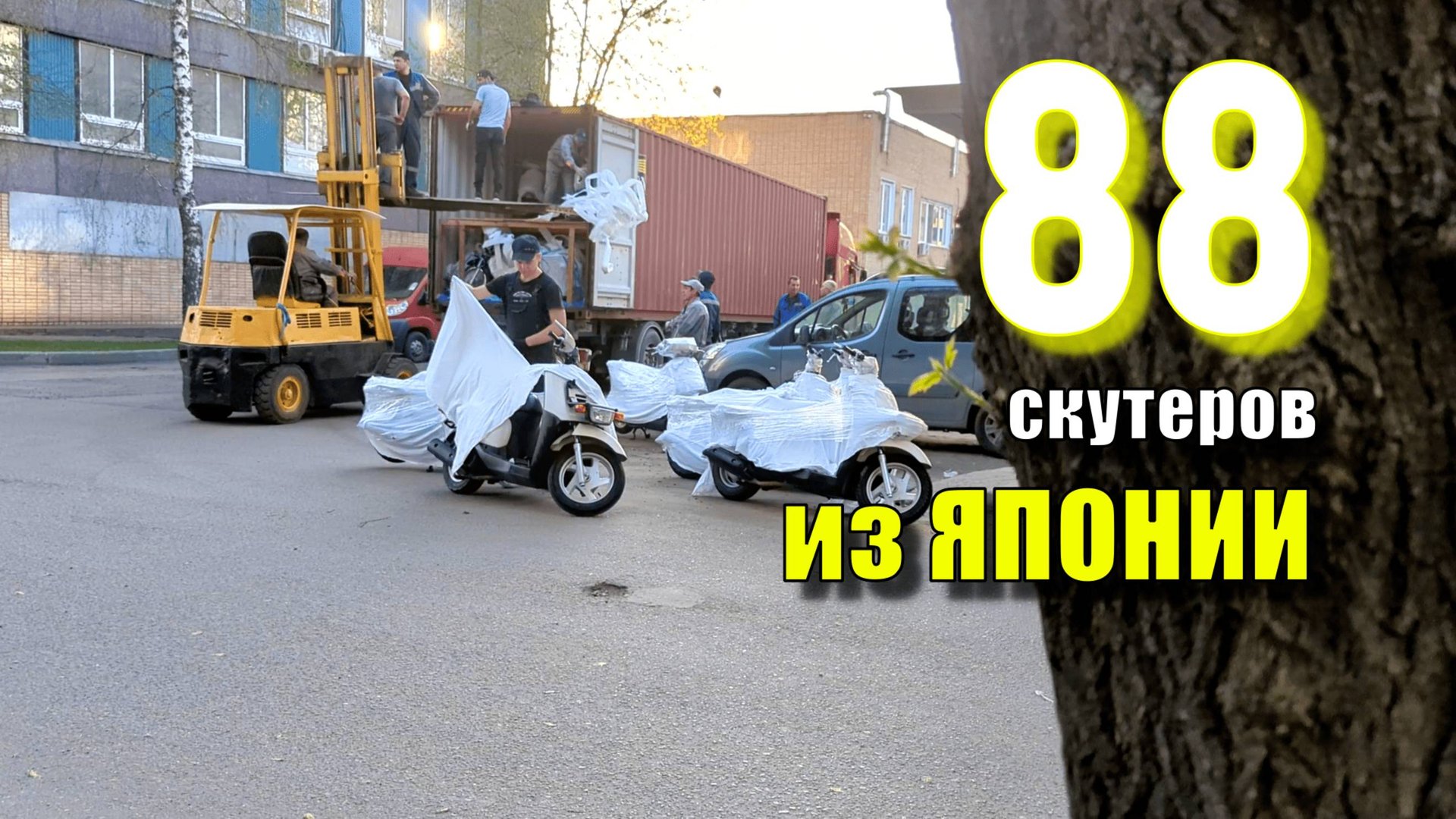 Контейнер скутеров из Японии смотреть онлайн