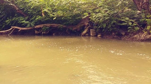 Ленкорань смотреть онлайн