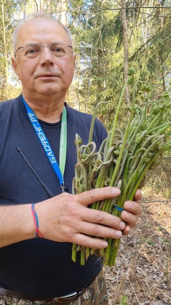 ШОК. волшебная трава, пошел ПАПОРОТНИК ОРЛЯК, вкусно и полезно, ВЕСНА В ЛЕСУ смотреть онлайн