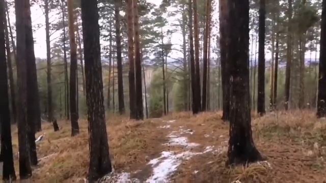 Прогулка по лесу. Спуск. Саянск смотреть онлайн