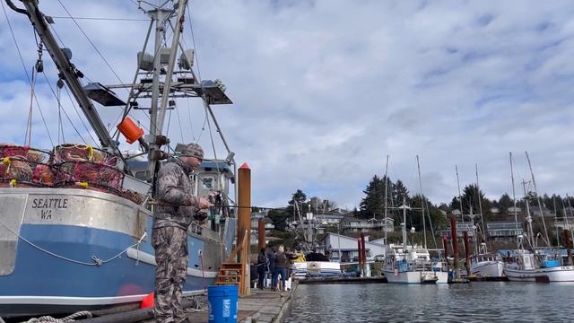 Кемпинг в Америке! Крутая рыбалка! смотреть онлайн