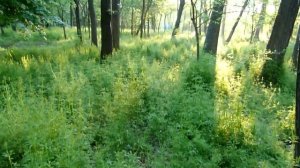 НОВАЯ КАХОВКА ГОРОД В КОТОРОМ МЫ ЖИВЕМ Новая Каховка 17 05 2019