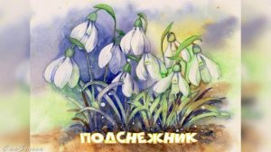Сказка Подснежник АудиоСказка |Ганс Христиан Андерсен|детские|рассказ|подснежник|мама|мультфильм|