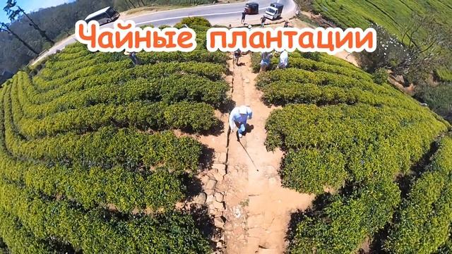 Шри Ланка 2024 #унаватуна смотреть онлайн