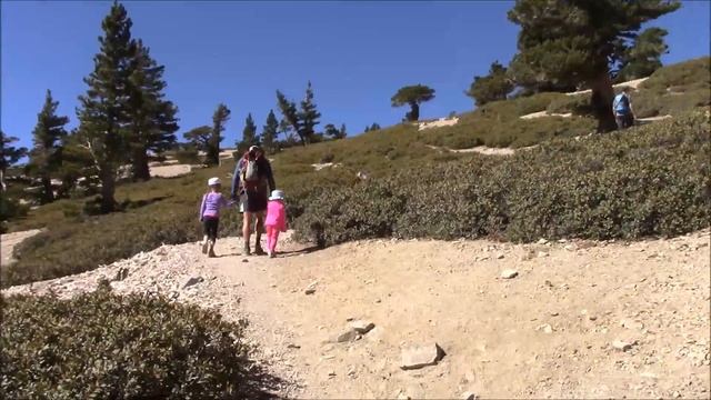ВОСХОЖДЕНИЕ НА ГОРУ БОЛДИ! 3067 МЕТРОВ! ЗМЕЯ! MT BALDY 10,064 FEET! CALIFORNIA KING SNAKE! смотреть онлайн