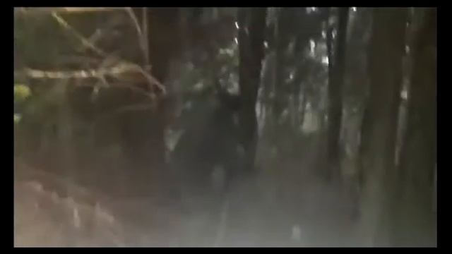 Ак 366 Ланкастер, Сайга 12-030 смотреть онлайн