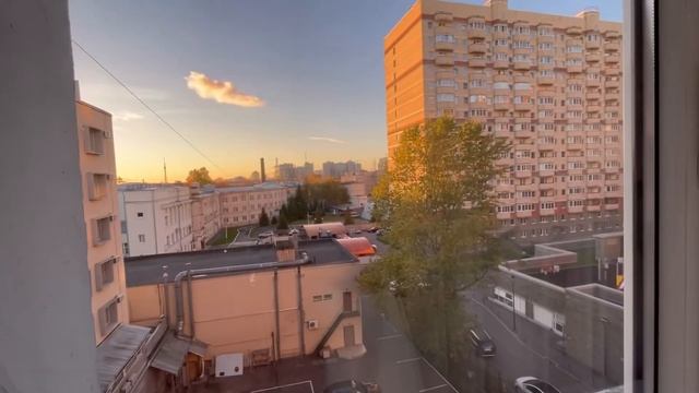 Командировка в Санкт-Петербург| обзор отеля смотреть онлайн