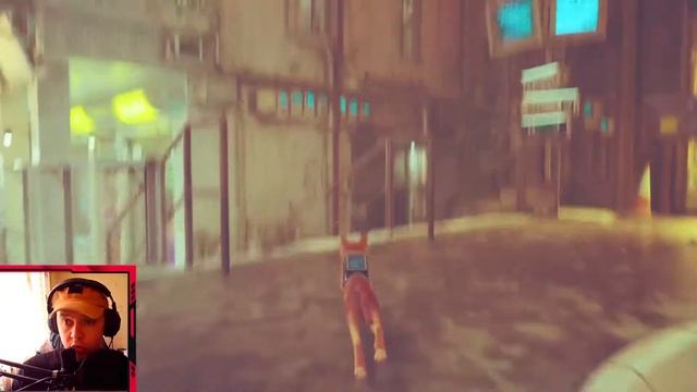 Stray 6 часть I Завод смотреть онлайн