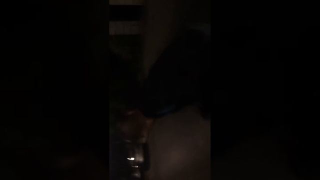 Катаемся на стульях по Лондону смотреть онлайн