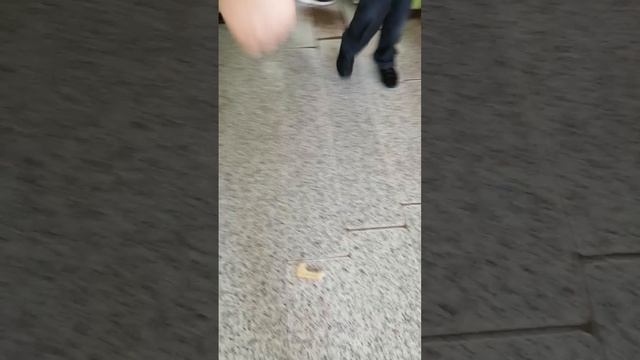 У нас завелись в школе тараканы смотреть онлайн