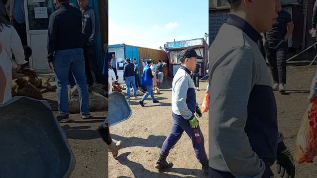 Астана мал базар Құрбан айт смотреть онлайн