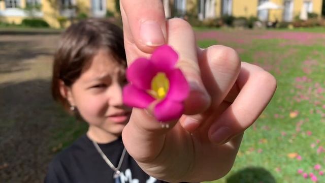 Новый год на острове Мадейра смотреть онлайн